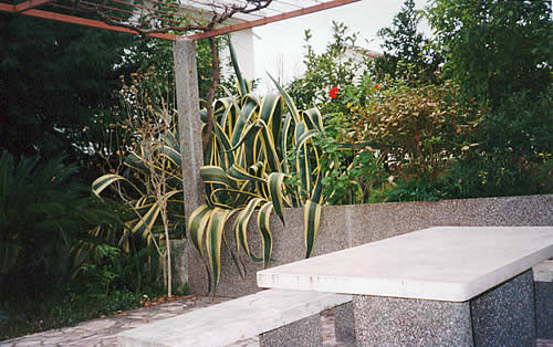 Patio and garden